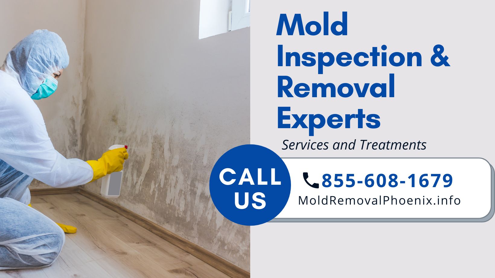 Residential Mold Removal