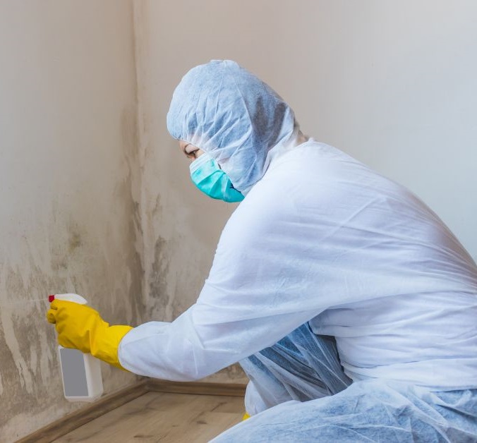 mold remediation chandler az